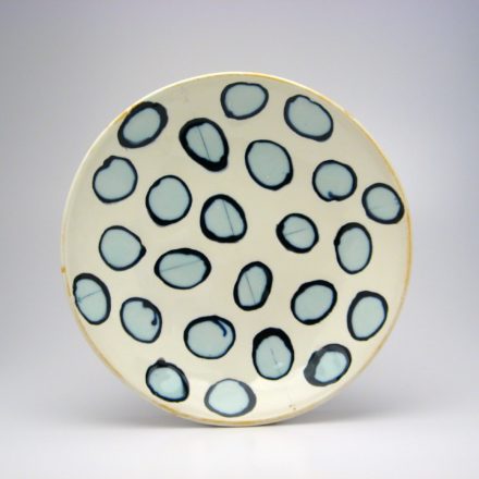 P13: Main image for Plate made by Amy Halko