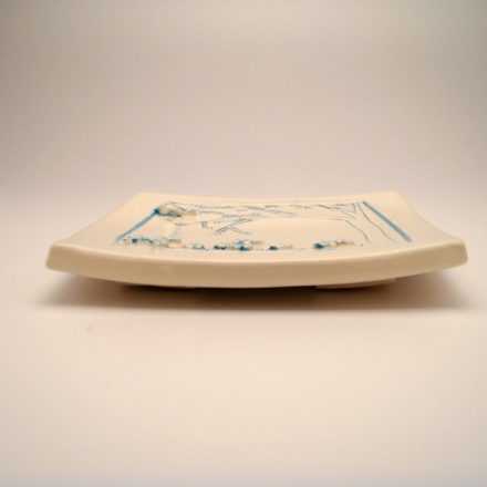 P35: Main image for Plate made by Megan Bergstrom