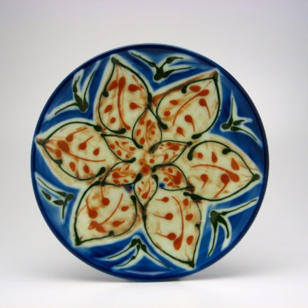 P14: Main image for Plate made by Sarah Jaeger
