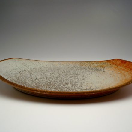 P77: Main image for Plate made by Will Swanson