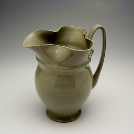 PV14: Main image for Pitcher made by Alleghany Meadows