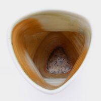 Thumbnail of c258t