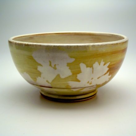 B317: Main image for Bowl made by Steven Colby