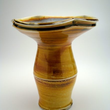 V68: Main image for Vase made by Alleghany Meadows