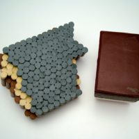 Thumbnail of v89r