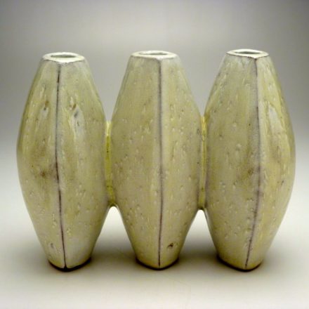 V99: Main image for Vase made by Jerilyn Virden