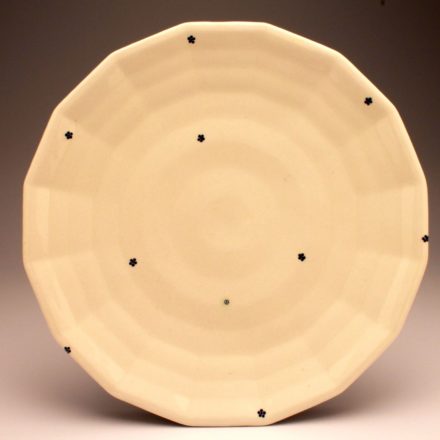 P373: Main image for Plate made by Andy Brayman