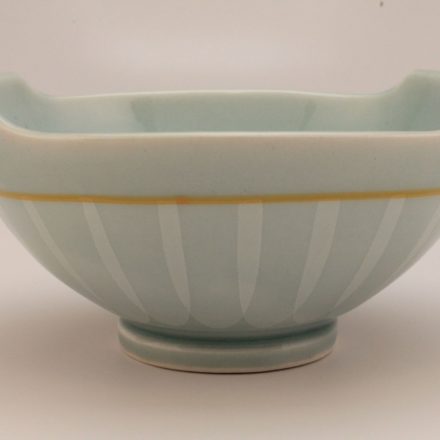 B557: Main image for Bowl made by Paul Donnelly