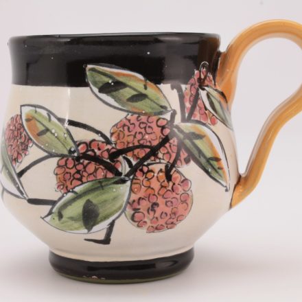 C858: Main image for Mug made by Linda Arbuckle