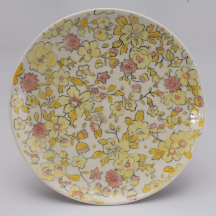 P481: Main image for Plate made by Molly Hatch