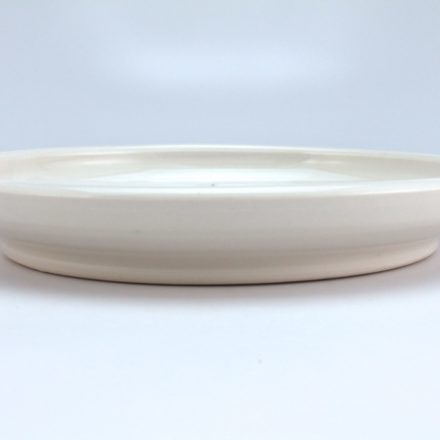 P509: Main image for Plate made by Amy Halko