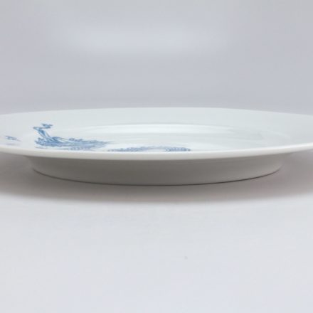 P513: Main image for Plate made by Steven Young Lee