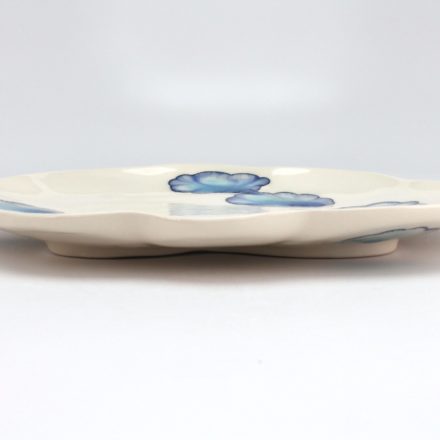 P516: Main image for Plate made by Julia Galloway