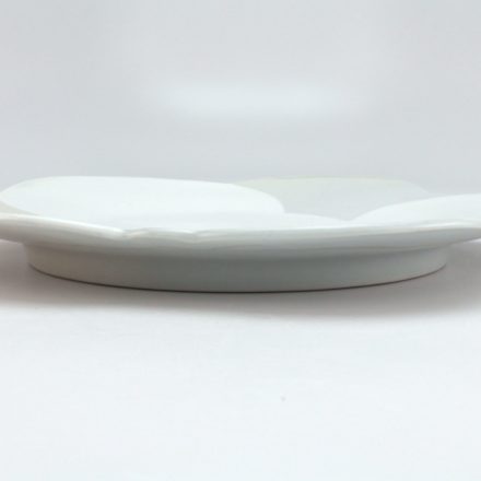 P520: Main image for Plate made by Sam Chung