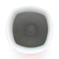 Thumbnail of v245t