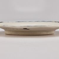 Thumbnail of p565f