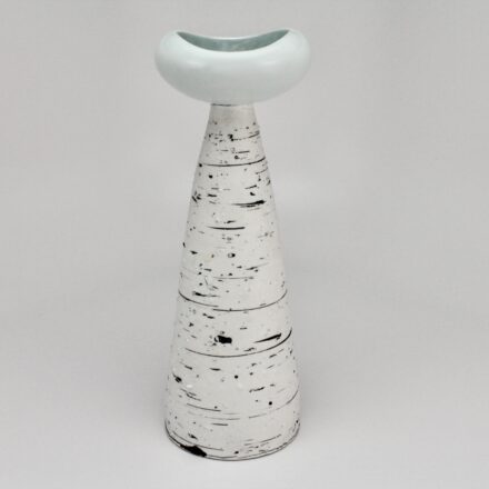V176: Main image for Vase made by Gillian Parke