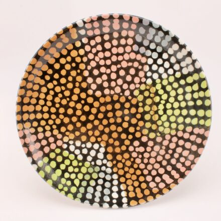 P607: Main image for Colorburst Plate (black) made by Kyle Scott Lee