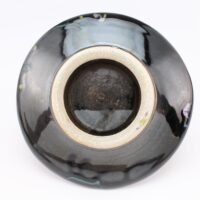 Thumbnail of p667r