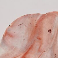 Thumbnail of v255s