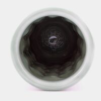 Thumbnail of v262t