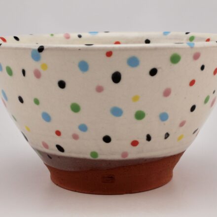B932: Main image for Confetti One-Meal Bowl made by Brian Jones