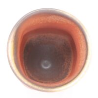 Thumbnail of c1553t