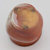 Thumbnail of c1559r
