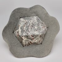 Thumbnail of p729t