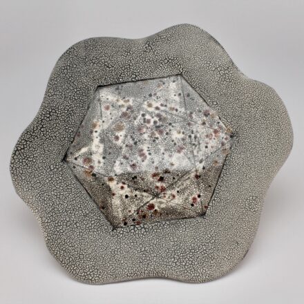 P729: Main image for Platter made by Andy Nasisse