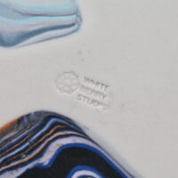 Thumbnail of sw434s