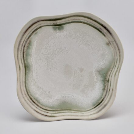 P721: Main image for Plate made by Aysha Peltz