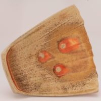 Thumbnail of p438t