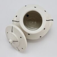 Thumbnail of j110t