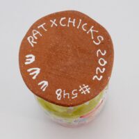 Thumbnail of c1558r