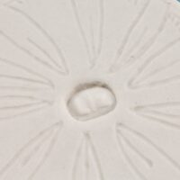 Thumbnail of sw427s