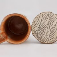 Thumbnail of pv161t