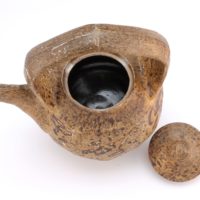 Thumbnail of t90t