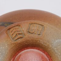 Thumbnail of b860s